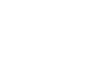 Finnegan-Marshall-logo-white-only