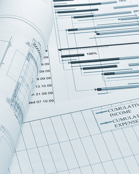 Project Monitoring at Finnegan Marshall